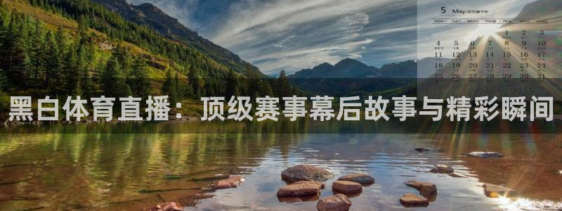黑白体育直播：顶级赛事幕后故事与精彩瞬间