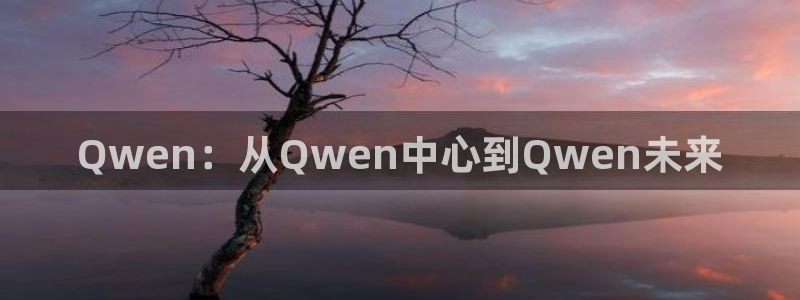 Qwen：从Qwen中心到Qwen未来