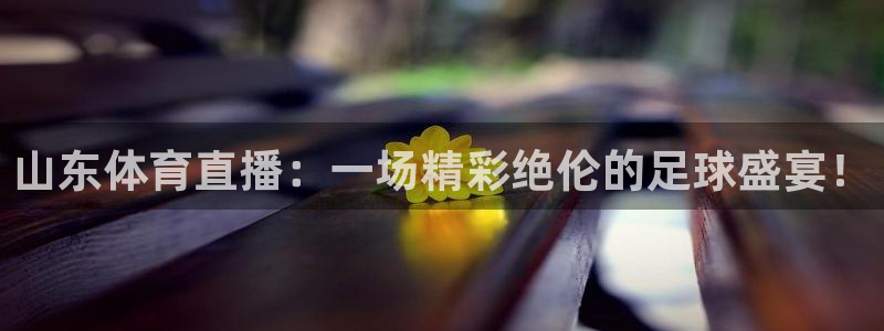 山东体育直播：一场精彩绝伦的足球盛宴！