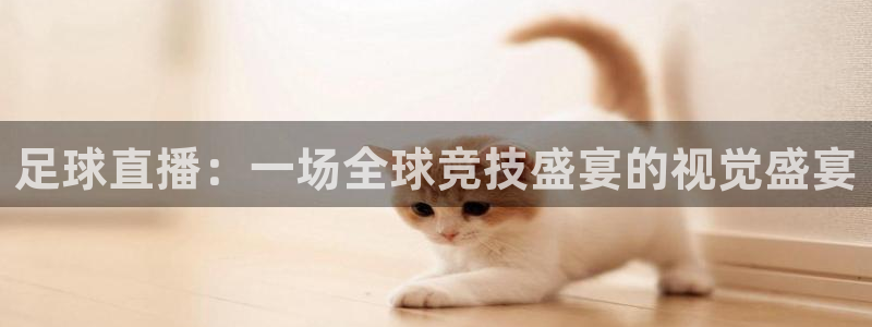 足球直播：一场全球竞技盛宴的视觉盛宴