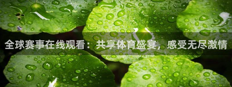 全球赛事在线观看：共享体育盛宴，感受无尽激情