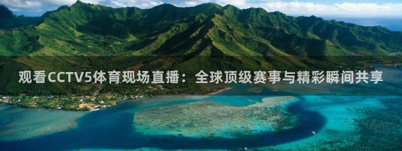 观看CCTV5体育现场直播：全球顶级赛事与精彩瞬间共享