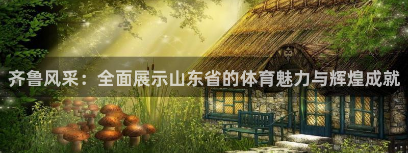 齐鲁风采：全面展示山东省的体育魅力与辉煌成就