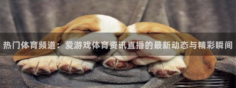 热门体育频道：爱游戏体育资讯直播的最新动态与精彩瞬间