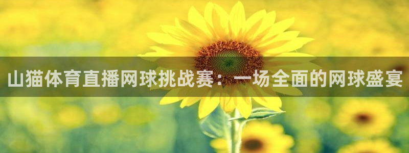 山猫体育直播网球挑战赛：一场全面的网球盛宴