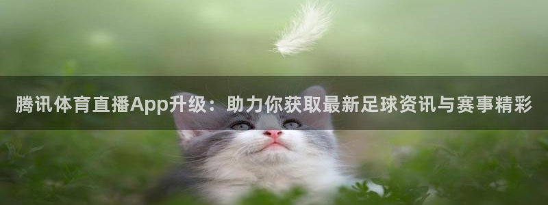 腾讯体育直播App升级：助力你获取最新足球资讯与赛事精彩