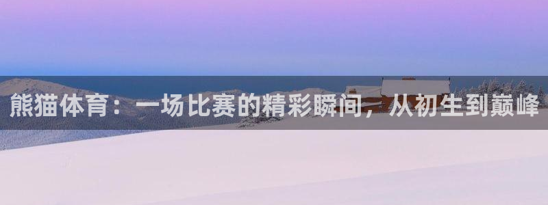 熊猫体育：一场比赛的精彩瞬间，从初生到巅峰