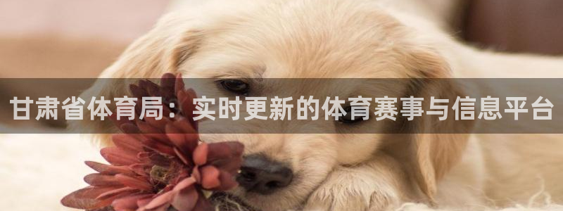 甘肃省体育局：实时更新的体育赛事与信息平台