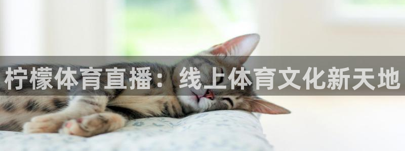 柠檬体育直播：线上体育文化新天地