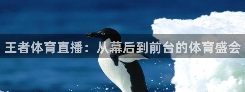 王者体育直播：从幕后到前台的体育盛会