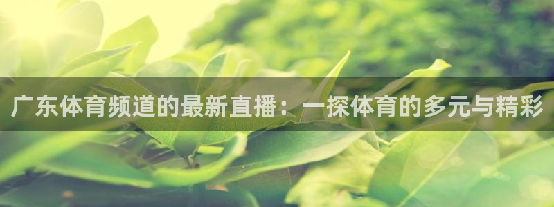 广东体育频道的最新直播：一探体育的多元与精彩