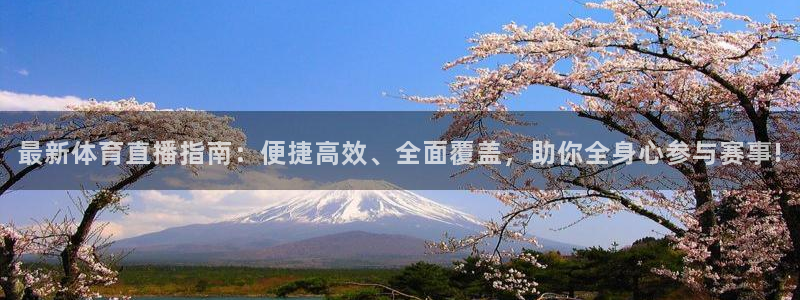 最新体育直播指南：便捷高效、全面覆盖，助你全身心参与赛事!