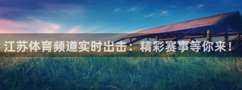 江苏体育频道实时出击：精彩赛事等你来！