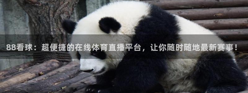 88看球：超便捷的在线体育直播平台，让你随时随地最新赛事！