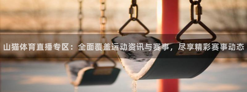 山猫体育直播专区：全面覆盖运动资讯与赛事，尽享精彩赛事动态