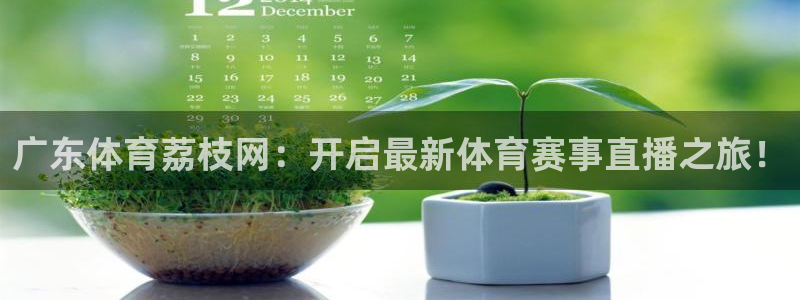 广东体育荔枝网：开启最新体育赛事直播之旅！