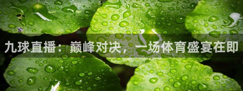 九球直播：巅峰对决，一场体育盛宴在即