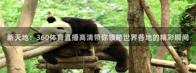 新天地：360体育直播高清带你领略世界各地的精彩瞬间