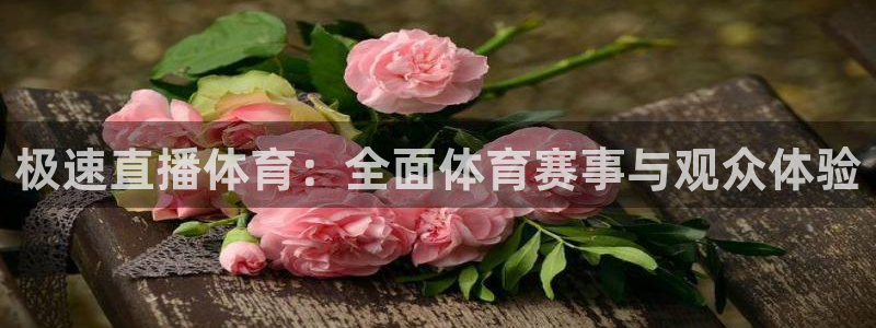 极速直播体育：全面体育赛事与观众体验