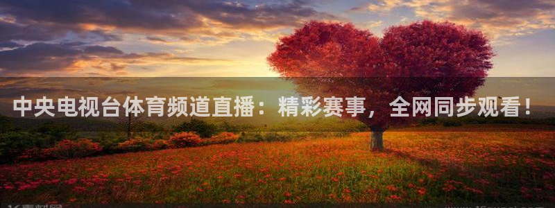 中央电视台体育频道直播：精彩赛事，全网同步观看！