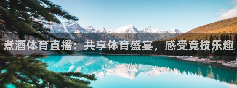 煮酒体育直播：共享体育盛宴，感受竞技乐趣