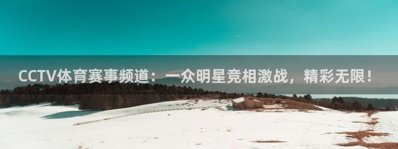 CCTV体育赛事频道：一众明星竞相激战，精彩无限！