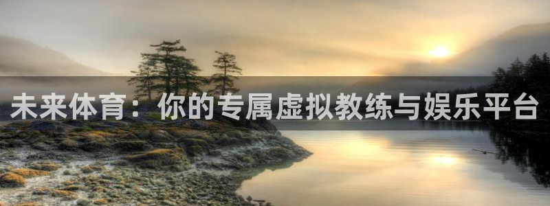未来体育：你的专属虚拟教练与娱乐平台