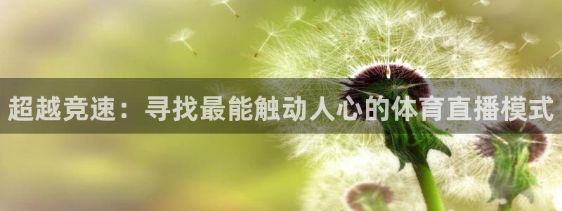 超越竞速：寻找最能触动人心的体育直播模式
