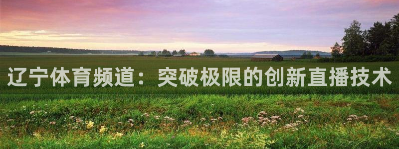 辽宁体育频道：突破极限的创新直播技术