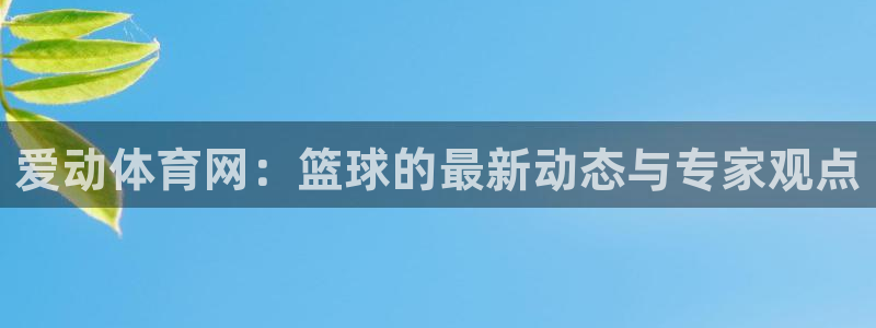 爱动体育网：篮球的最新动态与专家观点