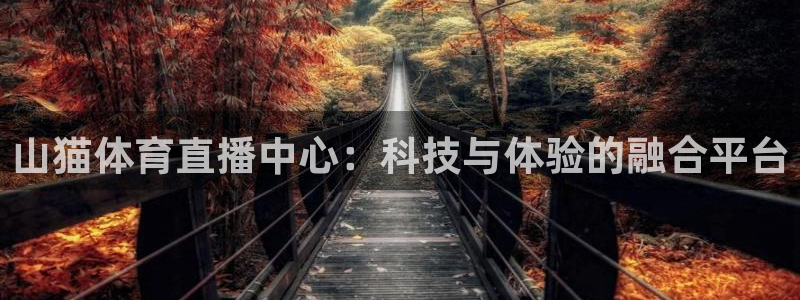 山猫体育直播中心：科技与体验的融合平台