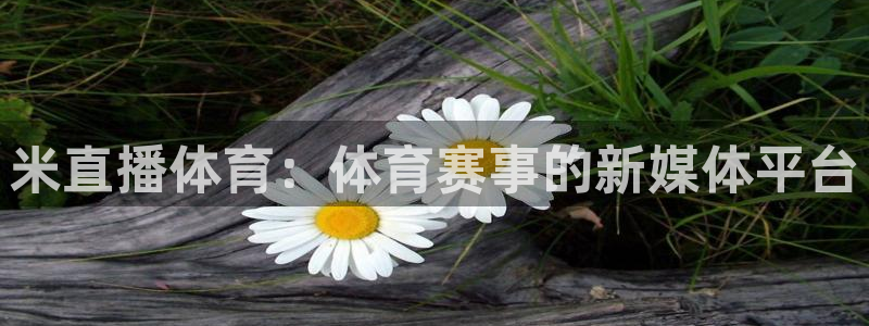 米直播体育：体育赛事的新媒体平台