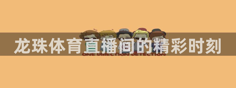 龙珠体育直播间的精彩时刻