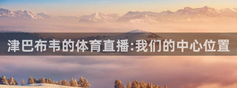 津巴布韦的体育直播:我们的中心位置