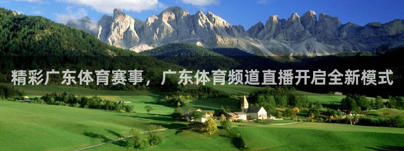 精彩广东体育赛事，广东体育频道直播开启全新模式
