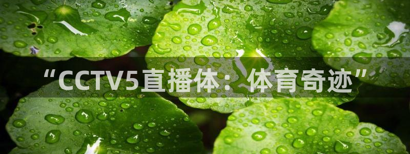 “CCTV5直播体：体育奇迹”