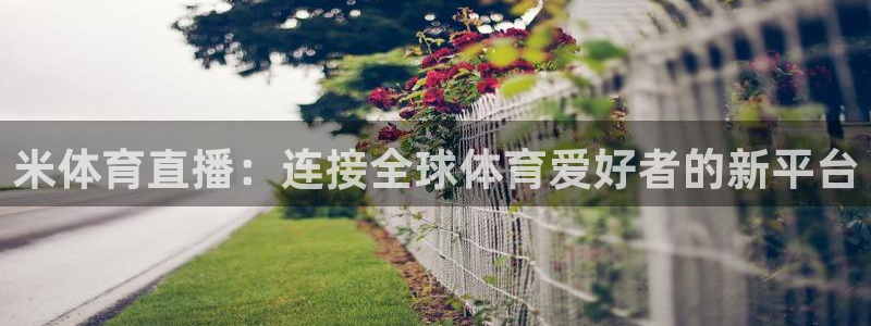 米体育直播：连接全球体育爱好者的新平台