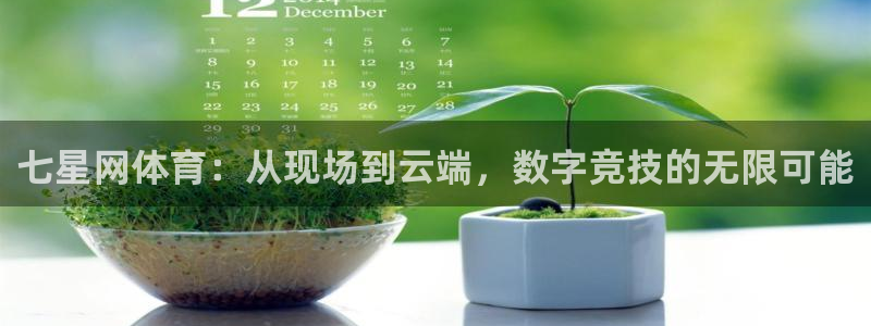 七星网体育：从现场到云端，数字竞技的无限可能