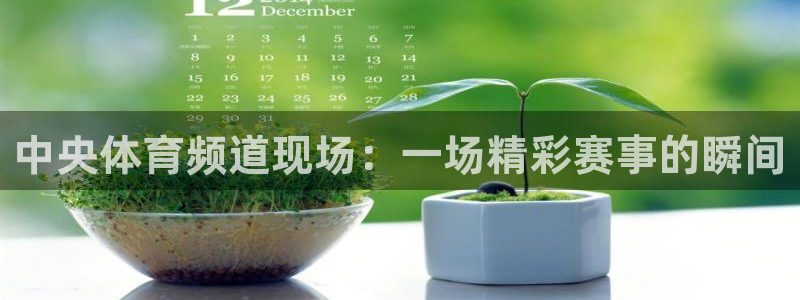 中央体育频道现场：一场精彩赛事的瞬间