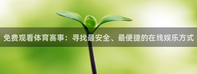 免费观看体育赛事：寻找最安全、最便捷的在线娱乐方式
