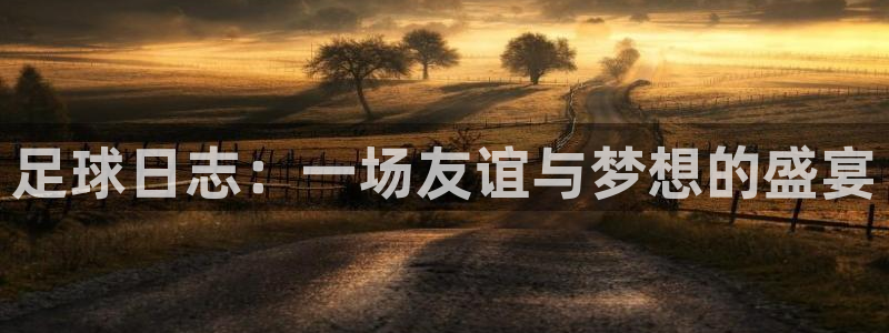 足球日志：一场友谊与梦想的盛宴