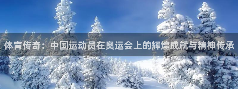 体育传奇：中国运动员在奥运会上的辉煌成就与精神传承
