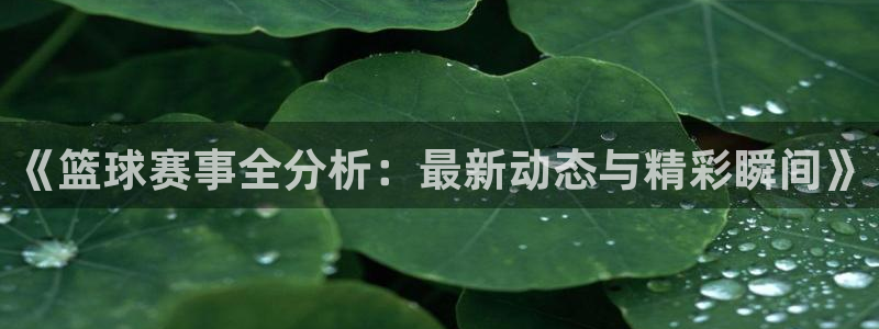 《篮球赛事全分析：最新动态与精彩瞬间》