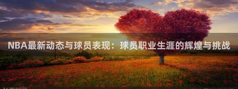 NBA最新动态与球员表现：球员职业生涯的辉煌与挑战