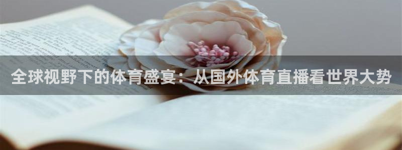 全球视野下的体育盛宴：从国外体育直播看世界大势