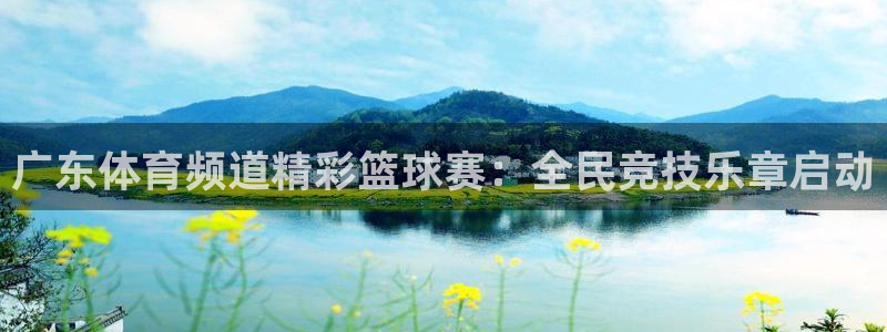 广东体育频道精彩篮球赛：全民竞技乐章启动