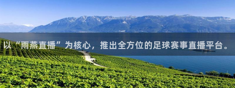 以“雨燕直播”为核心，推出全方位的足球赛事直播平台。