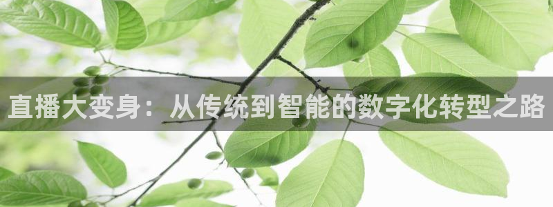 直播大变身：从传统到智能的数字化转型之路