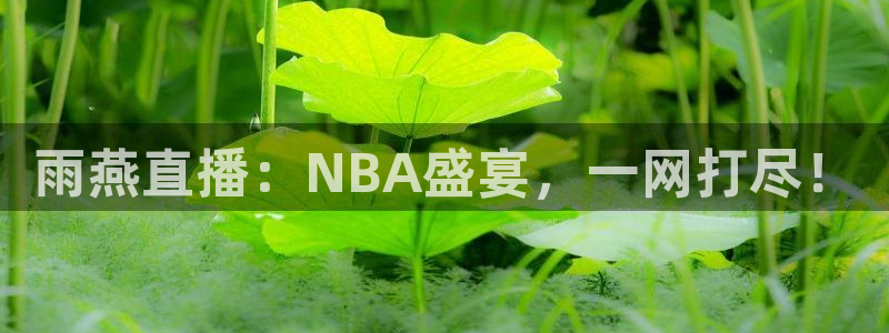 雨燕直播：NBA盛宴，一网打尽！